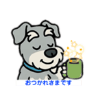 ミニチュア シュナウザー★ソルト＆ペッパー（個別スタンプ：11）