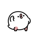 もちもち文鳥 動くスタンプ（個別スタンプ：16）