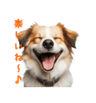 笑ってごまかす犬スタンプ vol.1（個別スタンプ：1）