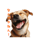 笑ってごまかす犬スタンプ vol.1（個別スタンプ：2）