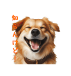 笑ってごまかす犬スタンプ vol.1（個別スタンプ：3）