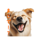 笑ってごまかす犬スタンプ vol.1（個別スタンプ：4）