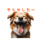 笑ってごまかす犬スタンプ vol.1（個別スタンプ：5）