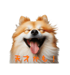 笑ってごまかす犬スタンプ vol.1（個別スタンプ：6）