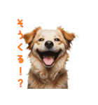 笑ってごまかす犬スタンプ vol.1（個別スタンプ：13）
