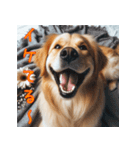 笑ってごまかす犬スタンプ vol.1（個別スタンプ：14）