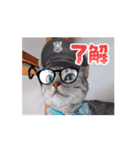 可愛く動くにゃ！短足だっていいじゃん♪（個別スタンプ：3）