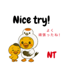英語を話すぴよ鶴 Ver.2（個別スタンプ：3）