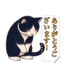 ハチワレ猫の暮らし《メッセージスタンプ》（個別スタンプ：9）