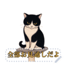 ハチワレ猫の暮らし《メッセージスタンプ》（個別スタンプ：21）