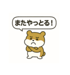 もっちりハムスターの日常3（個別スタンプ：12）
