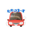 ペキニーズのぽて（個別スタンプ：2）