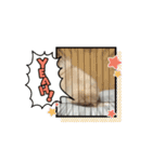 ペキニーズのぽて（個別スタンプ：8）