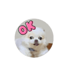 良い日と良い日々に（個別スタンプ：1）