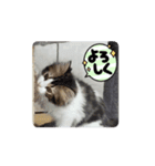 良い日と良い日々に（個別スタンプ：2）