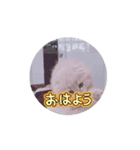 良い日と良い日々に（個別スタンプ：5）