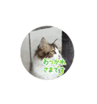 良い日と良い日々に（個別スタンプ：7）