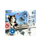夏を感じるサマーな三毛猫スタンプ（個別スタンプ：5）