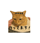 しゃべる小花達（カスタムスタンプ）（個別スタンプ：1）