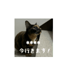 しゃべる小花達（カスタムスタンプ）（個別スタンプ：15）