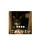 しゃべる小花達（カスタムスタンプ）（個別スタンプ：16）