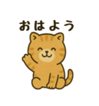 猫ぬいぐるみのマイケリー（個別スタンプ：1）