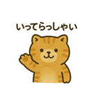 猫ぬいぐるみのマイケリー（個別スタンプ：2）