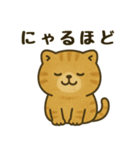 猫ぬいぐるみのマイケリー（個別スタンプ：8）