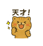 猫ぬいぐるみのマイケリー（個別スタンプ：13）