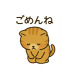 猫ぬいぐるみのマイケリー（個別スタンプ：15）