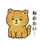 猫ぬいぐるみのマイケリー（個別スタンプ：16）