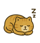 猫ぬいぐるみのマイケリー（個別スタンプ：17）