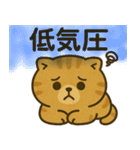 猫ぬいぐるみのマイケリー（個別スタンプ：18）
