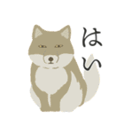やわらかどうぶつ園 ①（個別スタンプ：36）