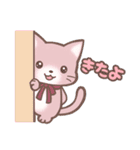 ぴよたまにゃん（個別スタンプ：5）