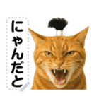ちょんまげ猫(ネコ)のメッセージスタンプ（個別スタンプ：9）