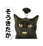 ちょんまげ猫(ネコ)のメッセージスタンプ（個別スタンプ：21）
