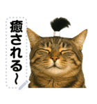 ちょんまげ猫(ネコ)のメッセージスタンプ（個別スタンプ：23）