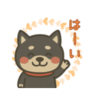 もちっと黒柴〜日常会話に添えて〜（個別スタンプ：1）