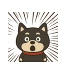 もちっと黒柴〜日常会話に添えて〜（個別スタンプ：5）