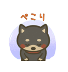 もちっと黒柴〜日常会話に添えて〜（個別スタンプ：7）
