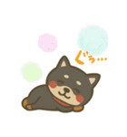 もちっと黒柴〜日常会話に添えて〜（個別スタンプ：12）