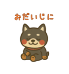 もちっと黒柴〜日常会話に添えて〜（個別スタンプ：19）