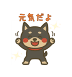 もちっと黒柴〜日常会話に添えて〜（個別スタンプ：22）