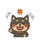 もちっと黒柴〜日常会話に添えて〜（個別スタンプ：24）