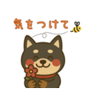 もちっと黒柴〜日常会話に添えて〜（個別スタンプ：31）