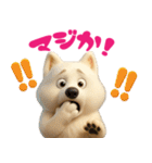 サモエドスタンプ vol.1（個別スタンプ：11）