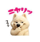 サモエドスタンプ vol.1（個別スタンプ：21）
