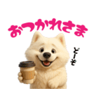 サモエドスタンプ vol.1（個別スタンプ：27）