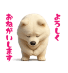 サモエドスタンプ vol.1（個別スタンプ：29）